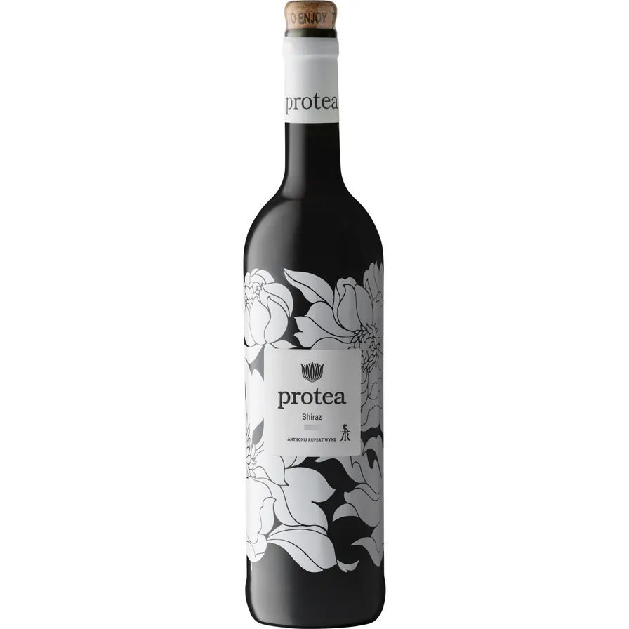 PROTEA SHIRAZ