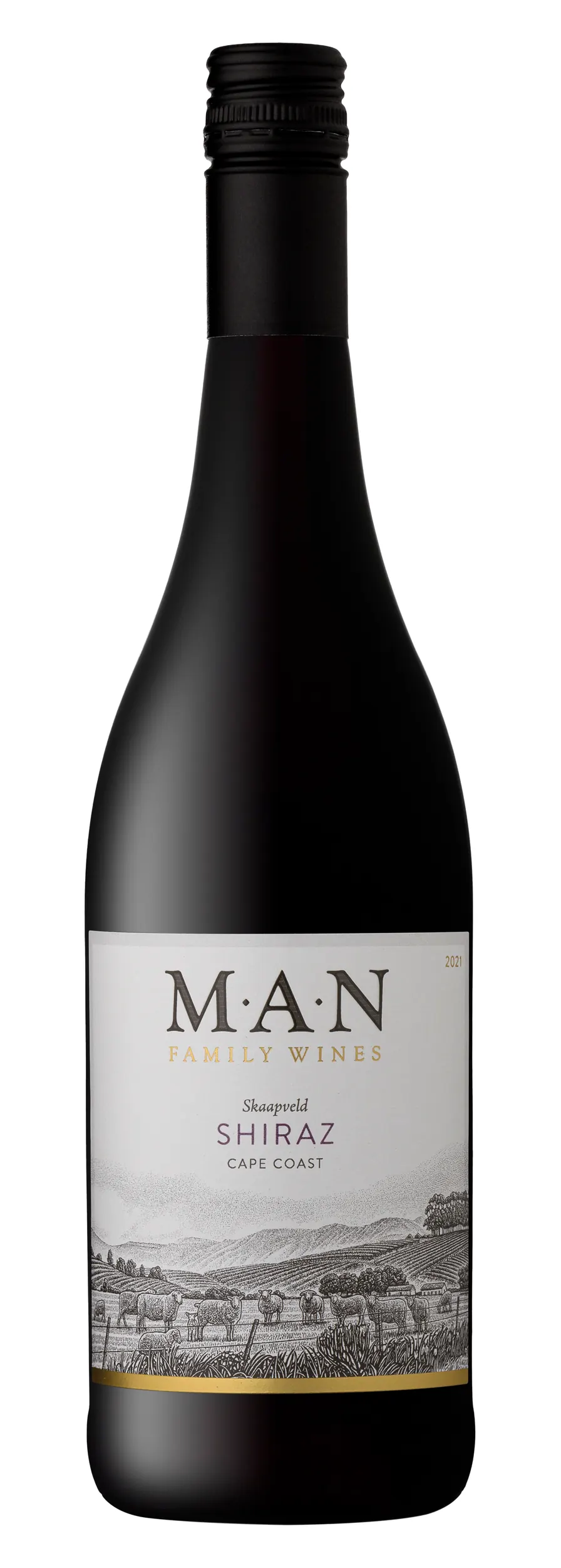 MAN SHIRAZ